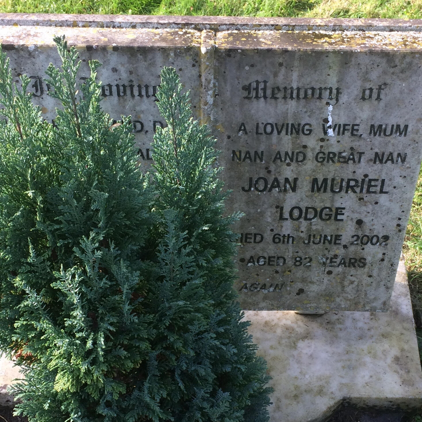 Grave Tending & Cleaning in Chelmsford (Essex) and surrounding villages.
